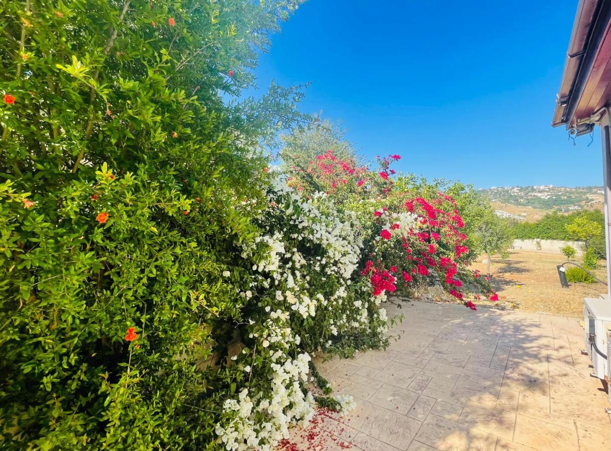 Beautiful Home Paphos Exterior photo